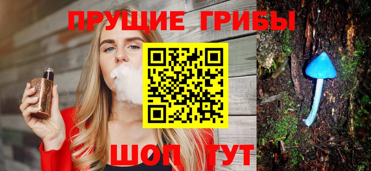 Новодвинск  Псилоцибиновые грибы мицелий  Вход с VPN 
