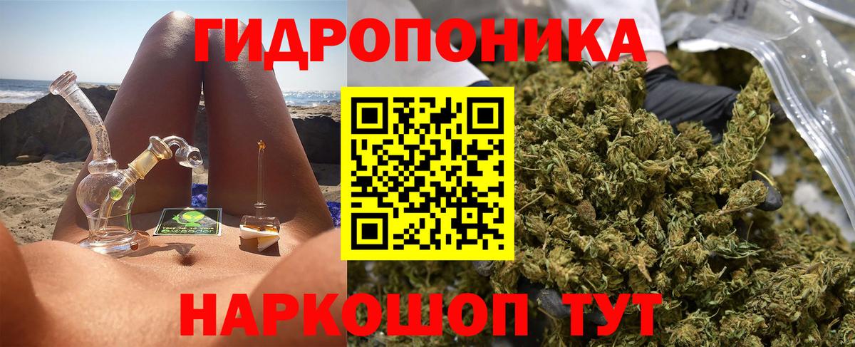 МАРИХУАНА план Новодвинск